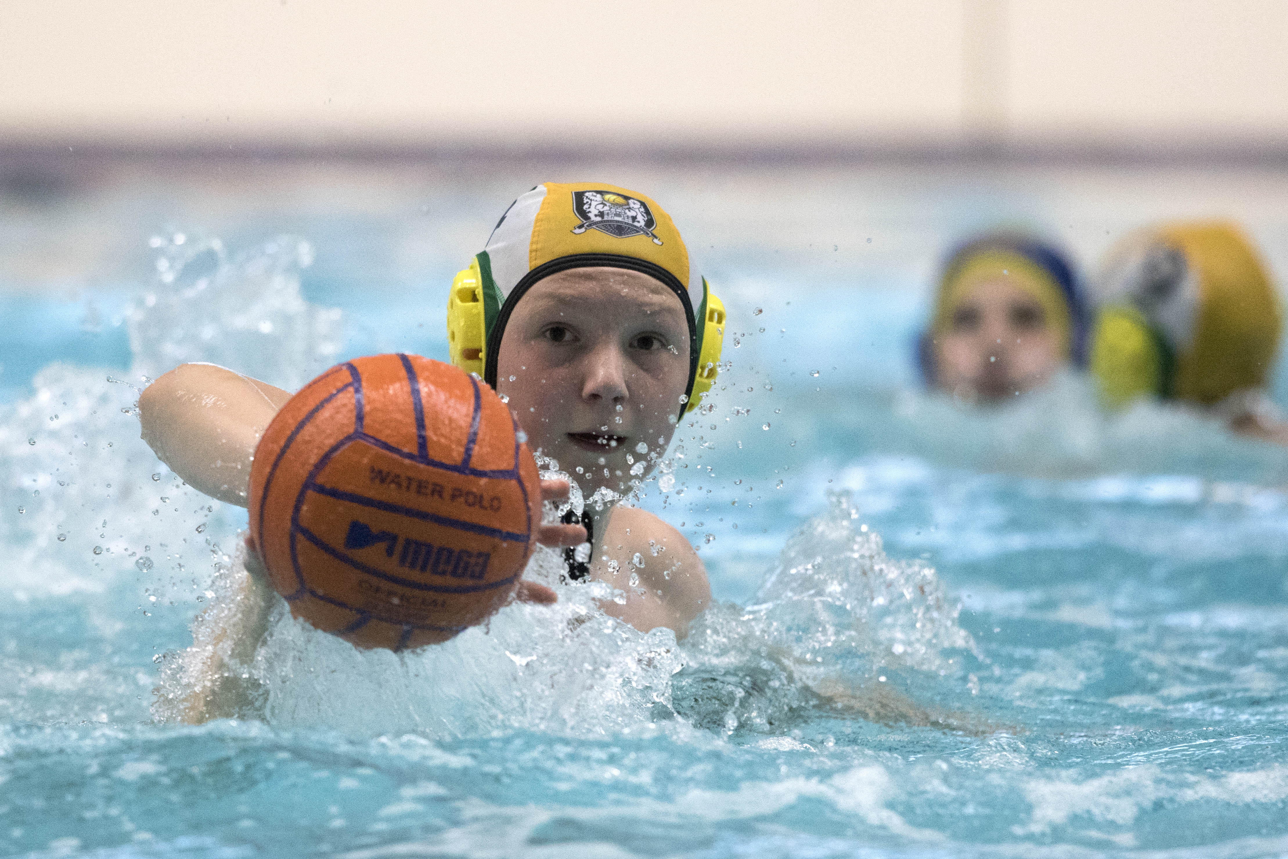 Job Vacancy- Worcester Crocodiles Water Polo Coach